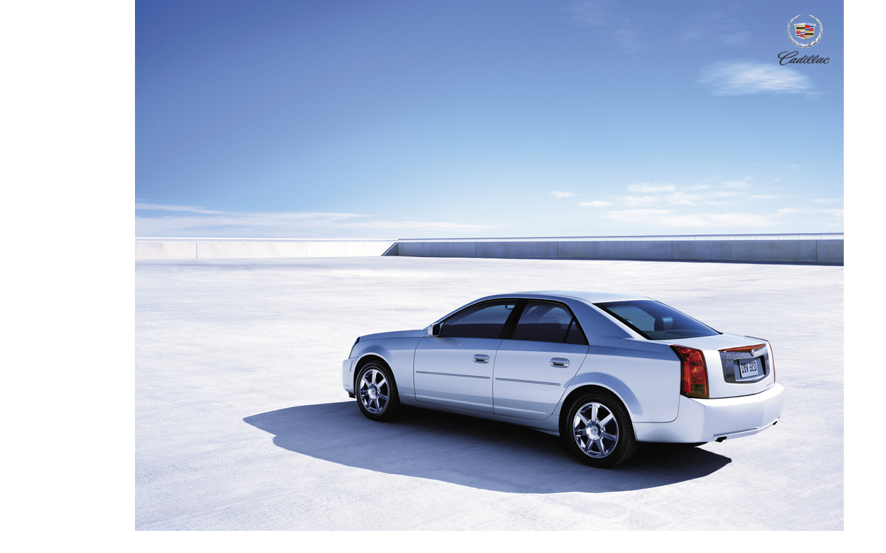 cadi.jpg