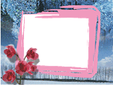 Untitled-1.gif