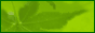 LogoMaker.gif