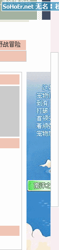 宠物2