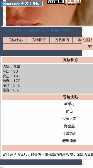 宠物1