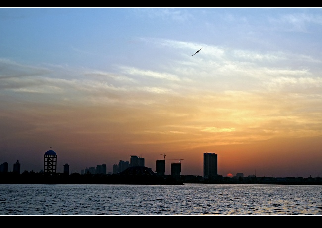1d01226q51f.jpg