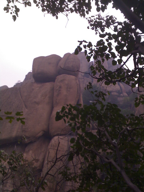 1003_141001.jpg