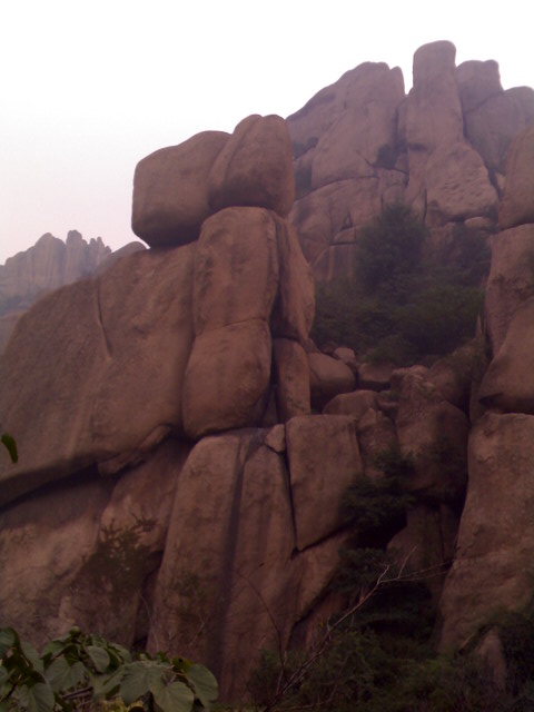 1003_140901.jpg