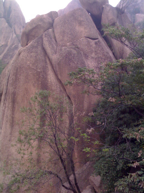 1003_122844.jpg
