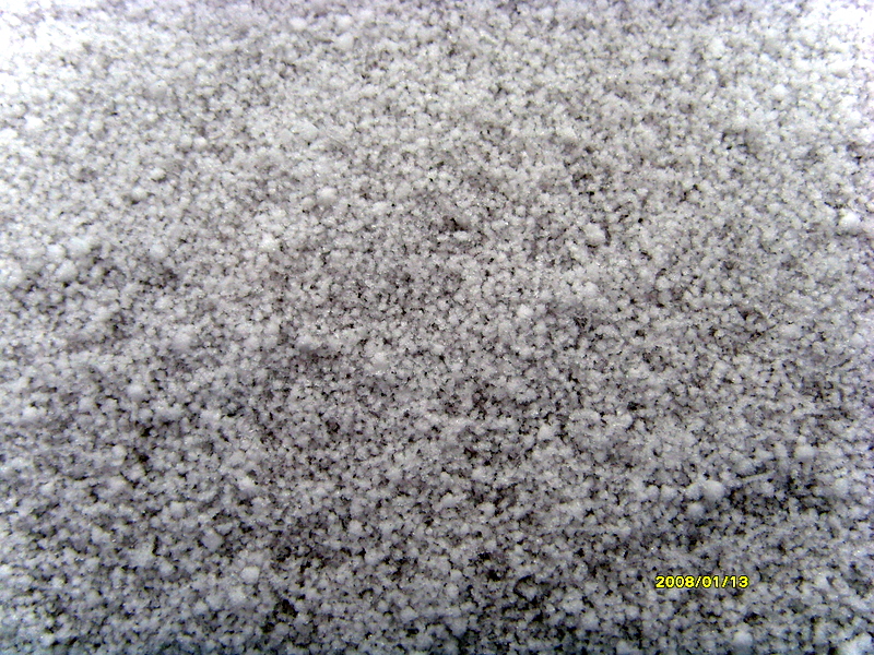 S73R0279.JPG
