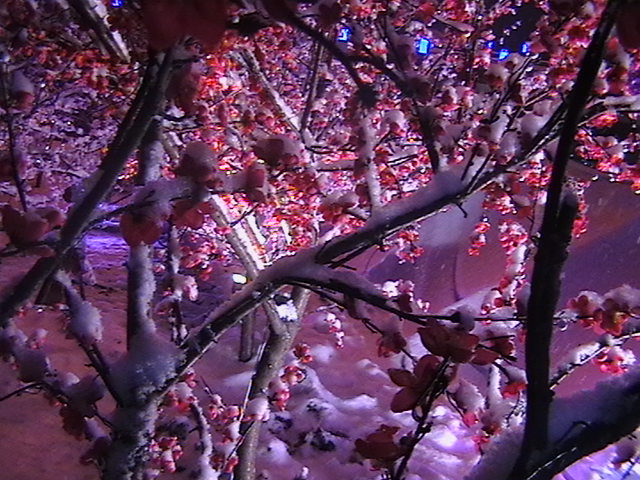 IMGA0824.JPG