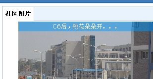 01.jpg