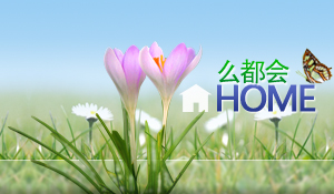 logo8.jpg