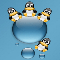第一組 noavatar_big.gif