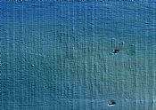 200773122363970_small.jpg