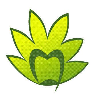 3.GIF