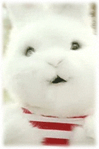 06.gif
