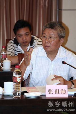 专家组组长、中国工程院院士、武汉大学教授张祖勋  对鉴定结果进行总结发言