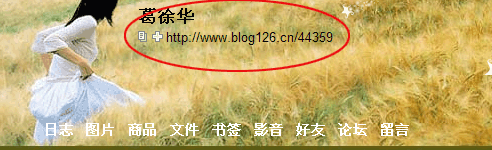 111111111.gif
