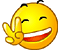 20080627091841537.gif