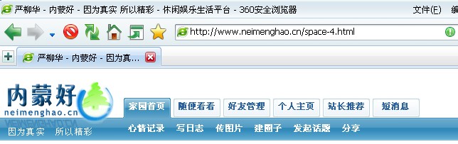 本站成功演示