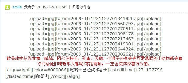 20090113120412062.jpg