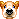 999080.gif