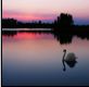 20081228_3ac1b1c1c6619a2a99c57a71XQg6jXld.jpg