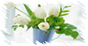 20081228_722a2abd8b3b1d1e7f1e7wLPO5oubh2F.jpg
