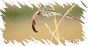 20081228_36ed2d0e93fcf3700c3fa8Uuuxu4UzRd.jpg