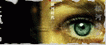 20081228_c624caa59845a2df4afc6Vc3136RR1X5.gif
