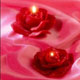20081228_c6baae99ce7182eb0f950ZomoKT37Ok5.jpg