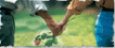 20081228_df27bd723de7096df2f5sK79P8WLkpf6.gif