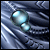 2007112222732347.gif