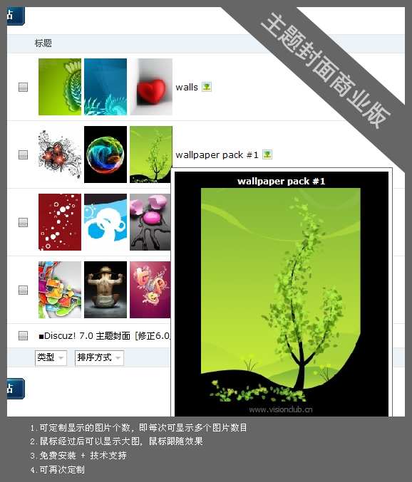 商业版本截图