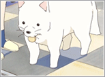 17.gif