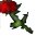 xianhua.gif