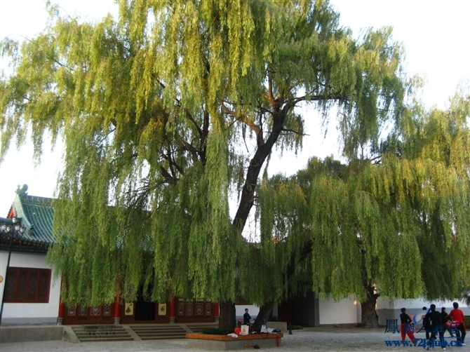 1_20090314144038124NK.jpg