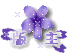 20080324_0e7efb2edd490c40ec28xxw25Gvad2qP.gif