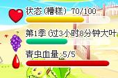 11.jpg