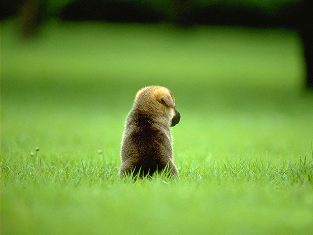 test1.jpg