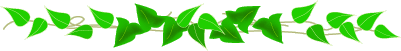 17380727.gif