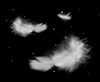 363.gif