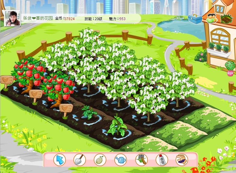 garden.jpg