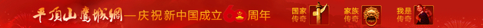 平顶山鹰城网.jpg