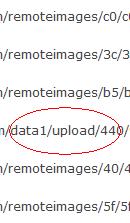e1.jpg