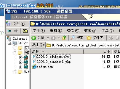 123.JPG
