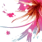 11.gif