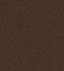 body_bg.gif