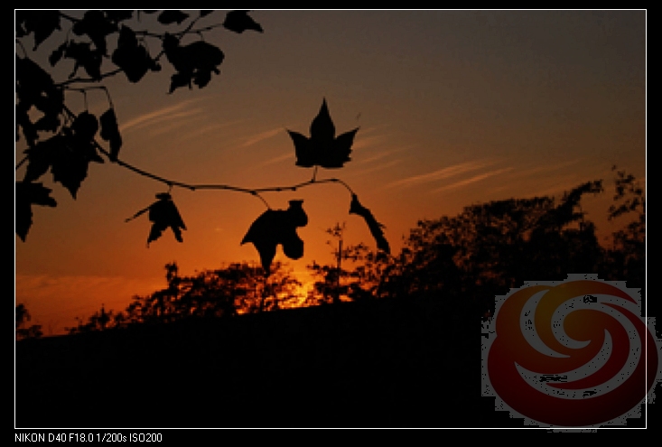 64 王大林 艺术设计系 夕幕.jpg