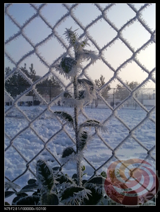 92 王风雅 机械工程系 初雪·.jpg