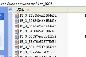 4568778.jpg