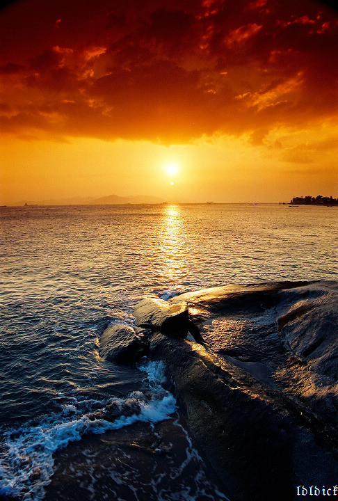 买了绝对值得！