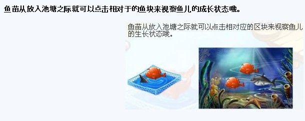 img.gif